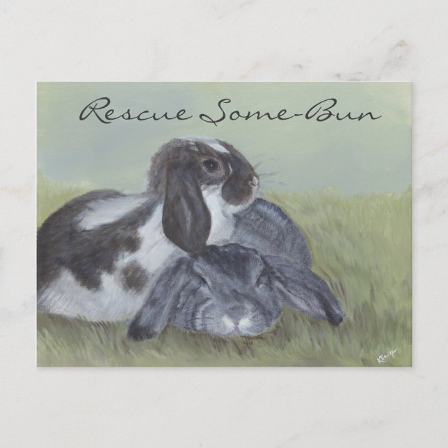 Rabbit Rescue Card (Front)