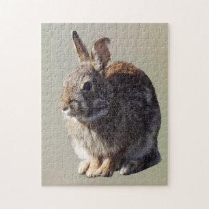 Rabbit Sitting Jigsaw Puzzle