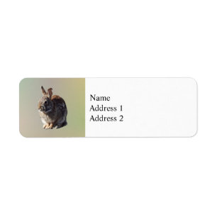 Rabbit Sitting Return Address Label