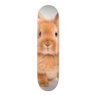 Rabbit Skateboard