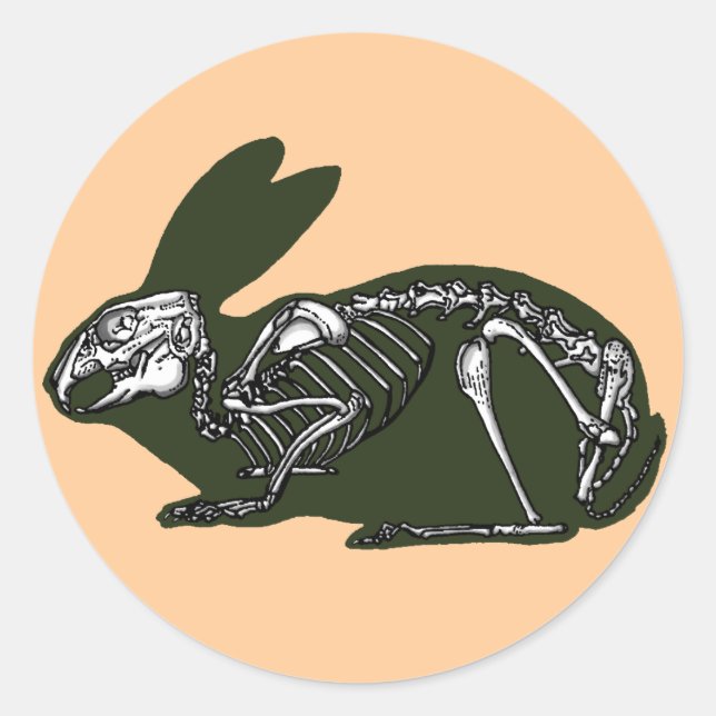 rabbit skeleton classic round sticker (Front)