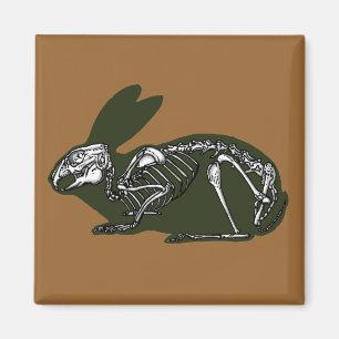 rabbit skeleton magnet