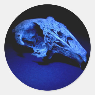 Rabbit Skull - Set of 20 Stickers