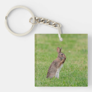 Rabbit standing in the grass and looking shy key ring