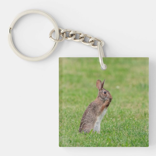 Rabbit standing in the grass and looking shy key ring (Front)