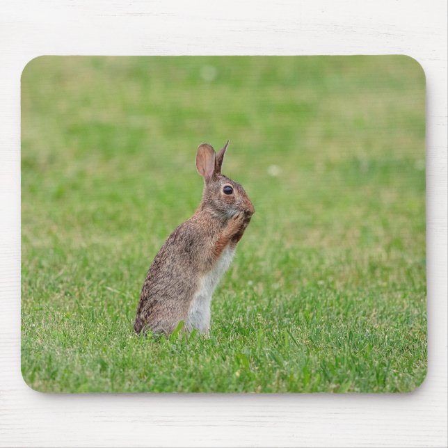 Rabbit standing in the grass and looking shy mouse pad (Front)