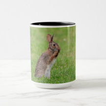 Rabbit standing in the grass and looking shy