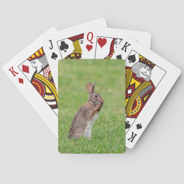 Rabbit standing in the grass and looking shy playing cards (Back)