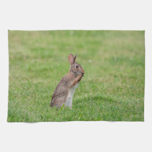 Rabbit standing in the grass and looking shy tea towel