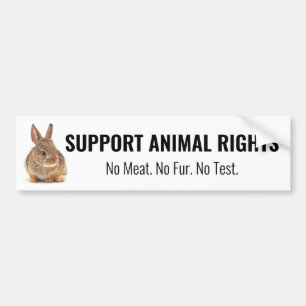 Rabbit Support Animal Rights Bumper Sticker