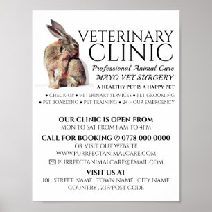 Rabbit, Veterinarian, Veterinary Service Advert Poster