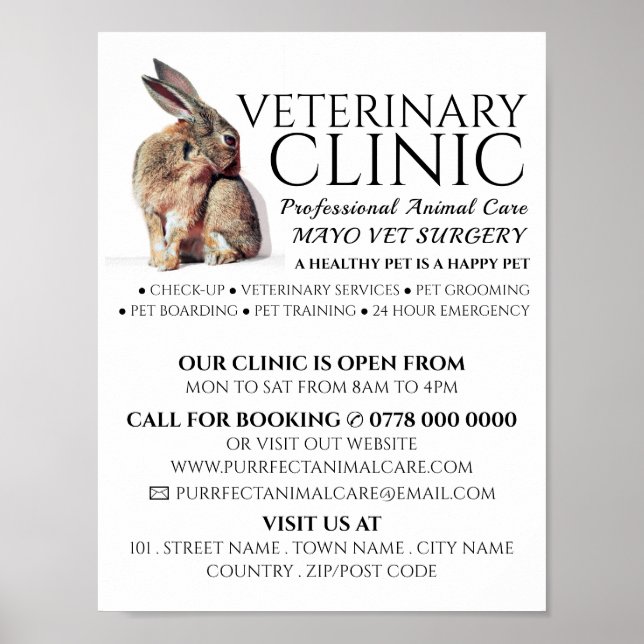 Rabbit, Veterinarian, Veterinary Service Advert Poster (Front)