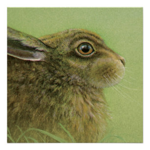 Rabbit wildlife fine art painting poster