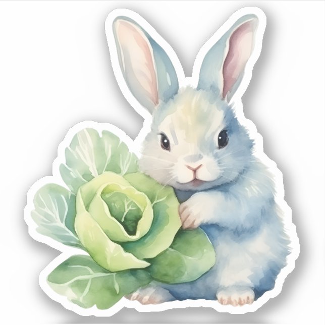 Rabbit with Cabbage (Front)