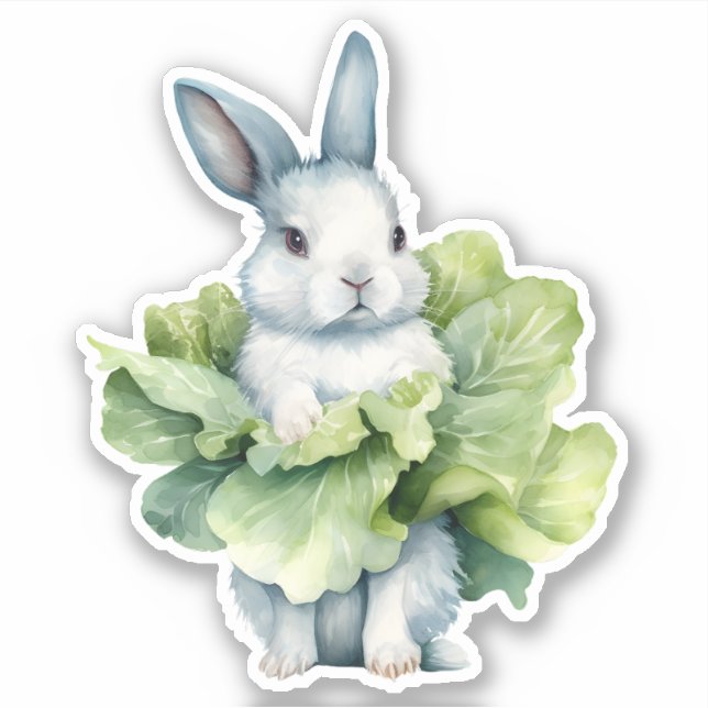 Rabbit with Cabbage (Front)