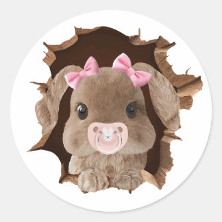Rabbit with pacifier classic round sticker