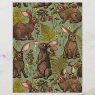 Rabbits and woodland flora