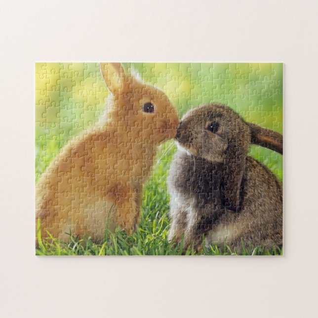 Rabbits Game Puzzle (Horizontal)