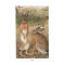 Rabbits in the Field Print