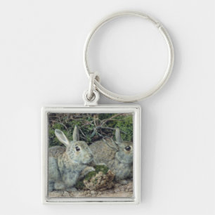 Rabbits Key Ring
