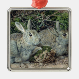Rabbits Metal Ornament