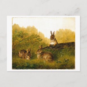 Rabbits on a Log by Arthur Fitzwilliam Tait Postcard