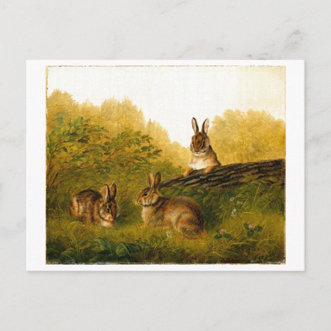 Rabbits on a Log by Arthur Fitzwilliam Tait Postcard (Front)