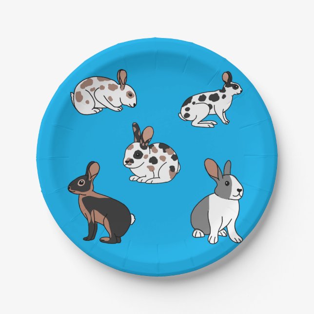 Rabbits Paper Plate (Front)