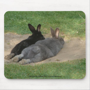 Rabbits stretched out - Mousemat. Customise. Mouse Pad
