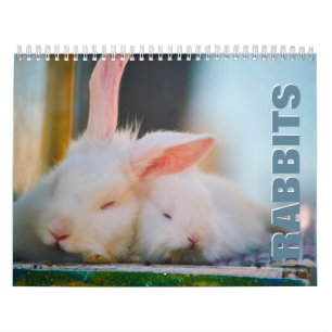 Rabbits Wall Calendar