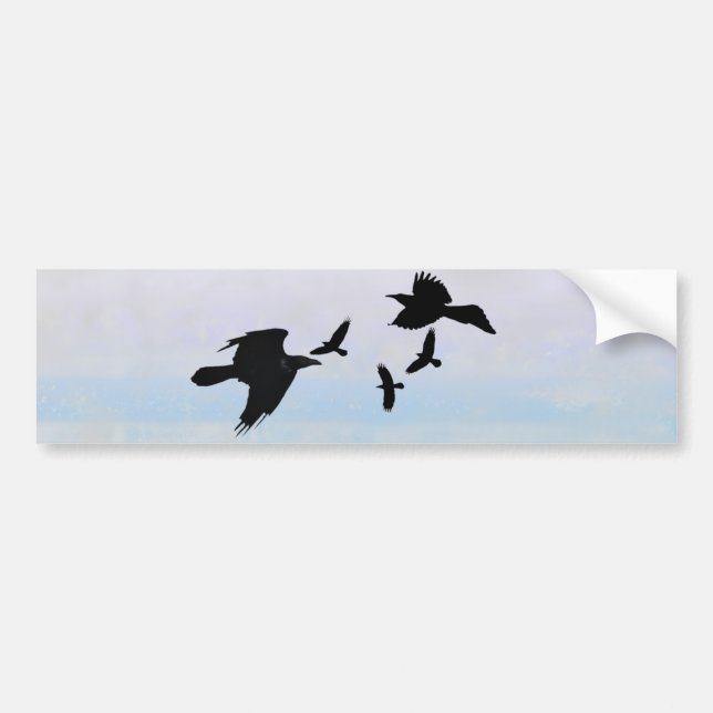Raben raven bumper sticker (Front)
