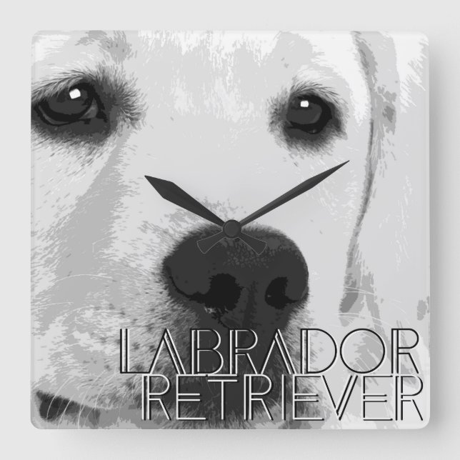 Rabrador Retriever Square Wall Clock (Front)
