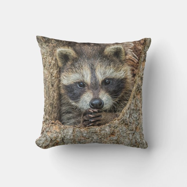 Raccon Nestled Inside a Tree Hollow Cushion (Front)