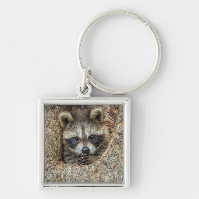 Raccon Nestled Inside a Tree Hollow Key Ring (Front)