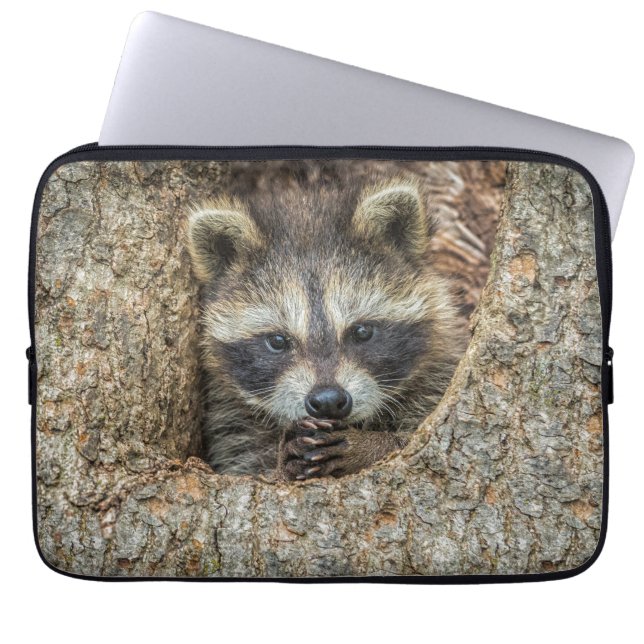Raccon Nestled Inside a Tree Hollow Laptop Sleeve (Front)