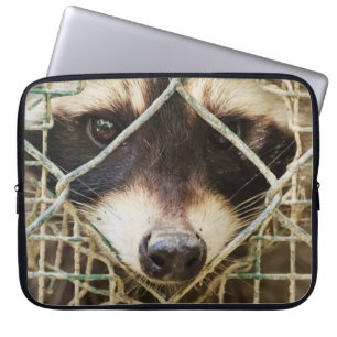 RACCON ON Laptop Sleeve