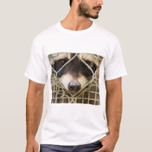 raccon on t-shirts
