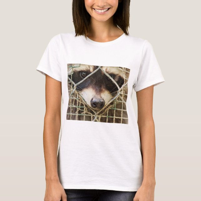 raccon on t-shirts (Front)