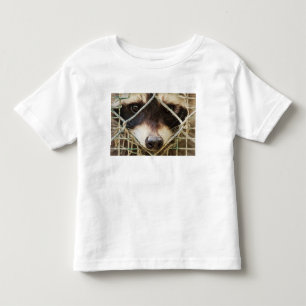 raccon on Toddler Fine Jersey T-Shirt