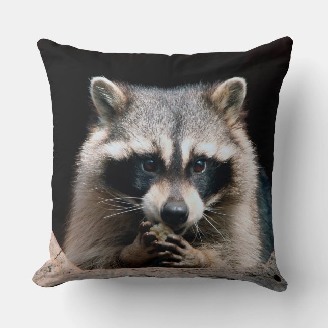 Raccoon 004 cushion (Front)
