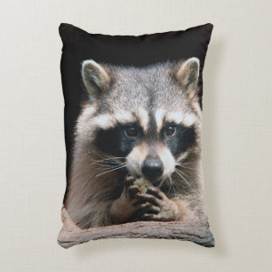 Raccoon 004 decorative cushion