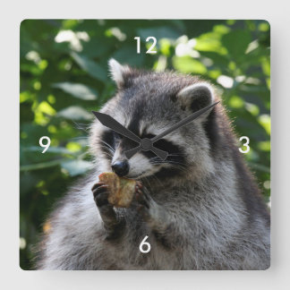 Raccoon_2015_0116 Square Wall Clock