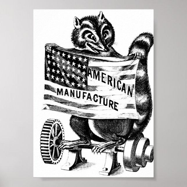 Raccoon Americana Political Art Illustration Poster (Front)