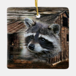 Raccoon At The Old Barn Ceramic Ornament
