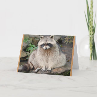 Raccoon Card