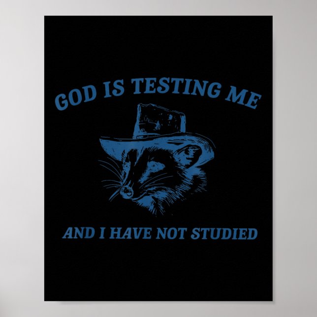 Raccoon God Is Testing Me And I Have Not Studied  Poster (Front)