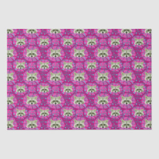 raccoon_gray and pink tissue paper