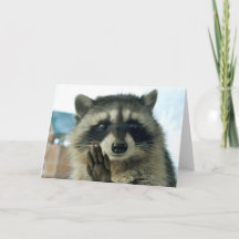 Raccoon - just to say hi - greeting card