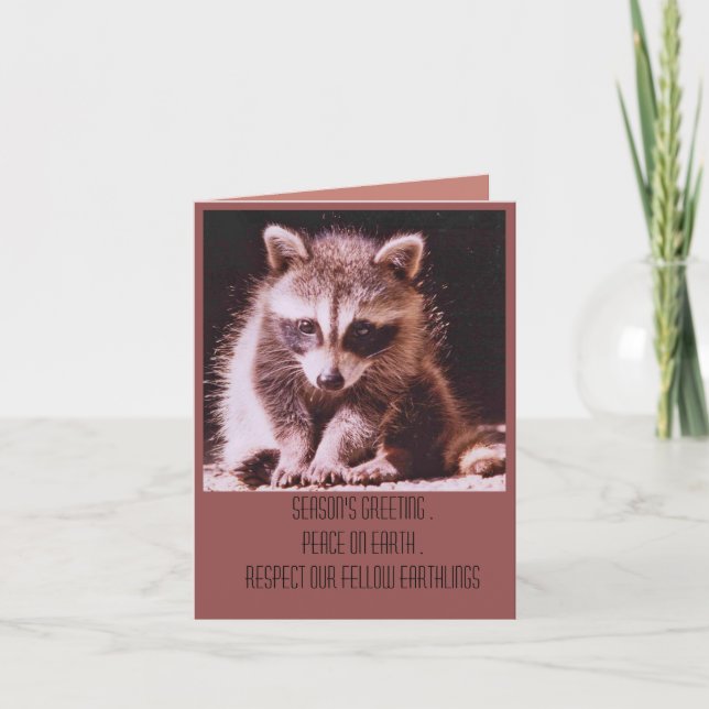 Raccoon Kit Christmas Greetings Holiday Card (Front)