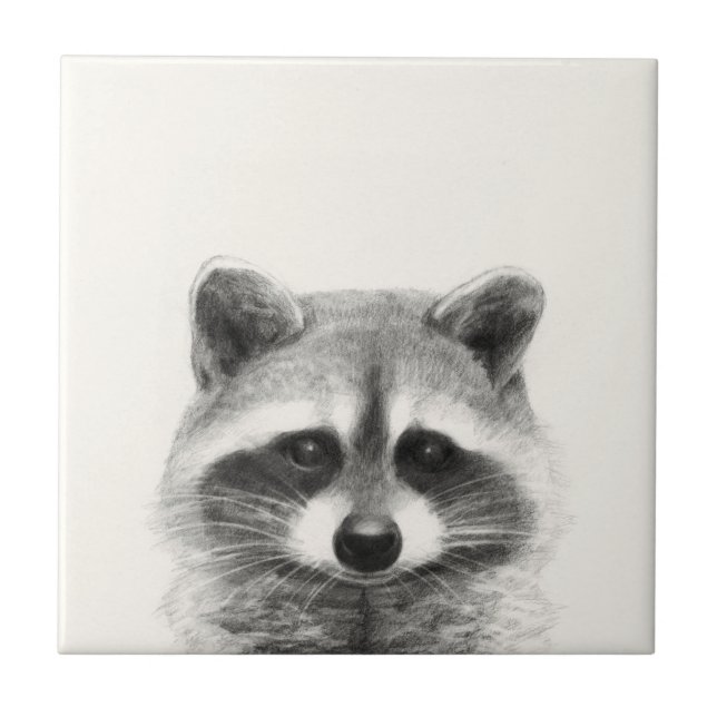 Raccoon Pencil Drawing Ceramic Tile (Front)